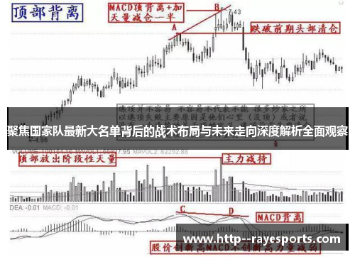 聚焦国家队最新大名单背后的战术布局与未来走向深度解析全面观察